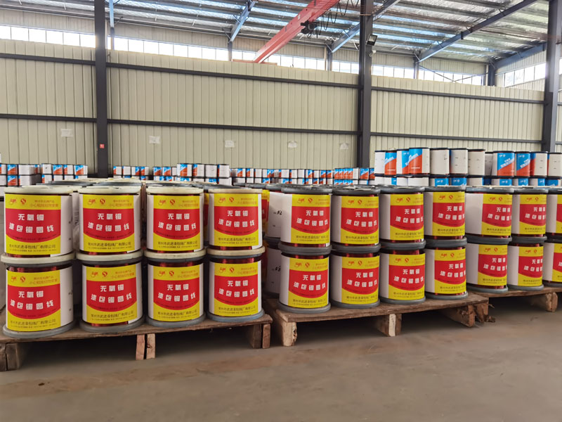 �c���鿴��